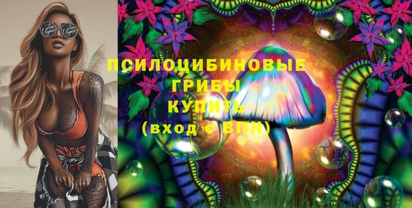 ешки Вязьма