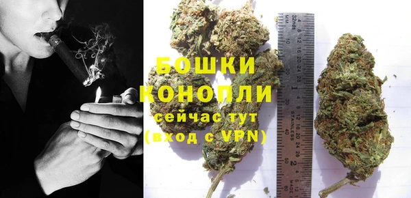 ешки Вязьма