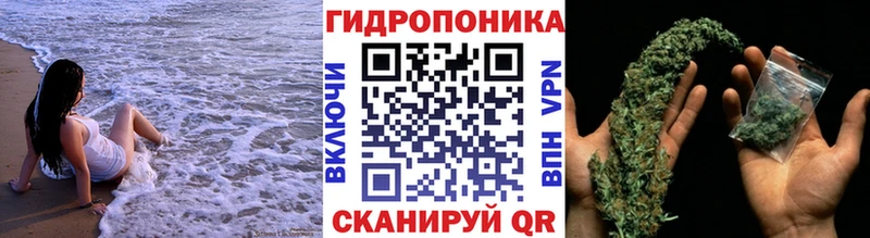 Канабис планчик  Инза 